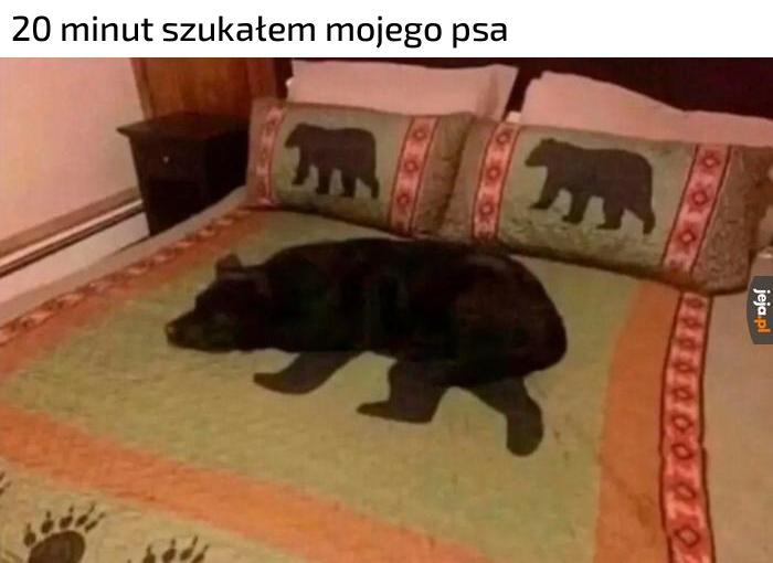 Ciekawe gdzie on jest?