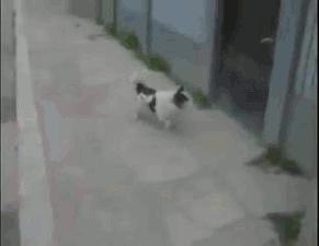 Mission Impossible