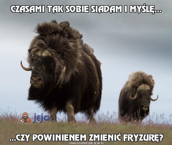 Czasami tak sobie siadam i myślę...