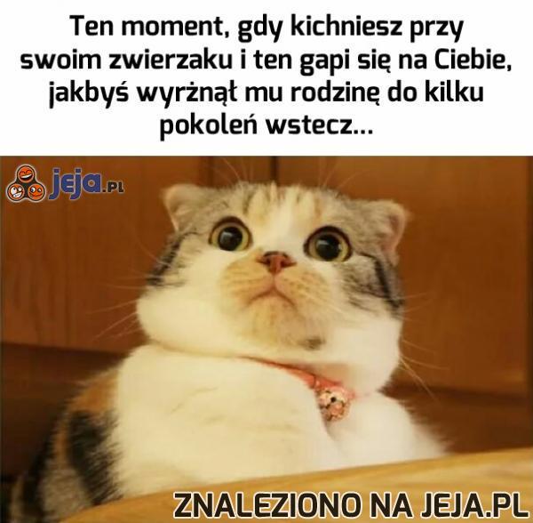 Za każdym razem to samo