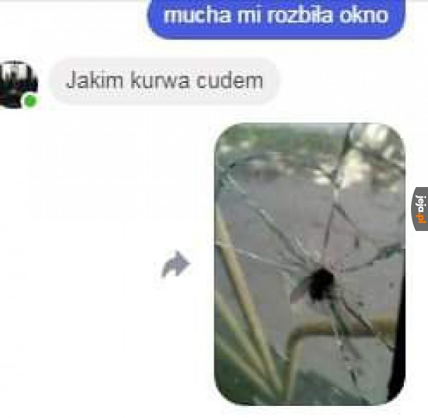 Cuda się dzieją