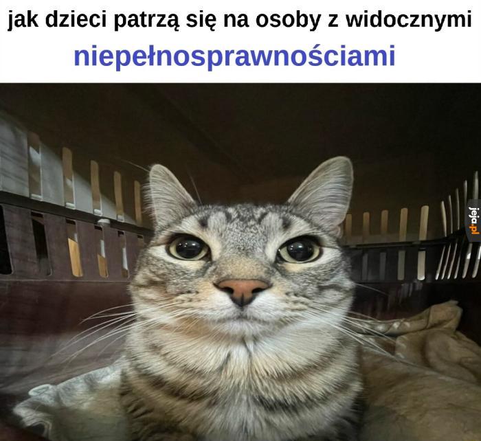 Gapisz mi się na niepełnosprawność?
