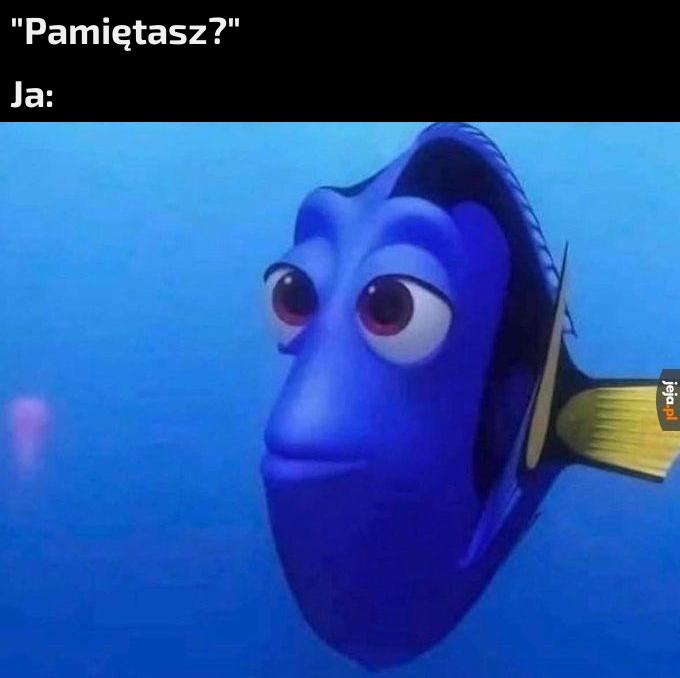 Pamięć rybki