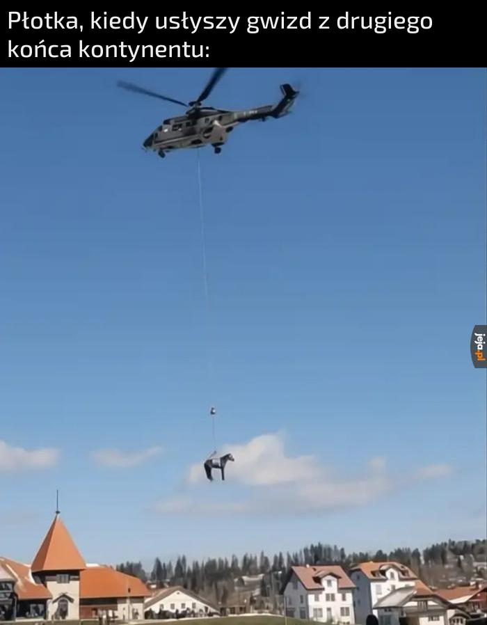 A myślałem, że umie w portale
