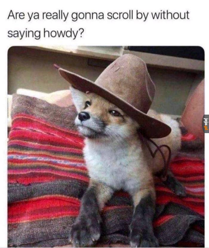 Howdy 👋