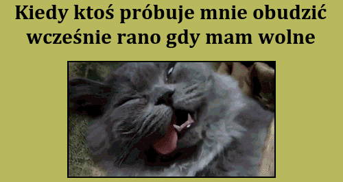 Zostaw, śpię