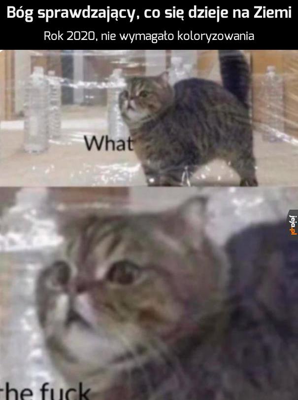Co do...?