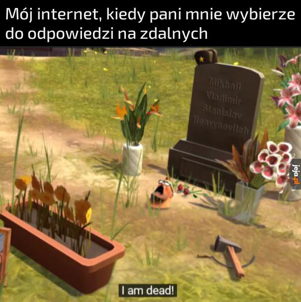 Ale proszę pani. mi naprawdę internet padł