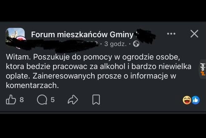 Małpka i 7zł za godzinę