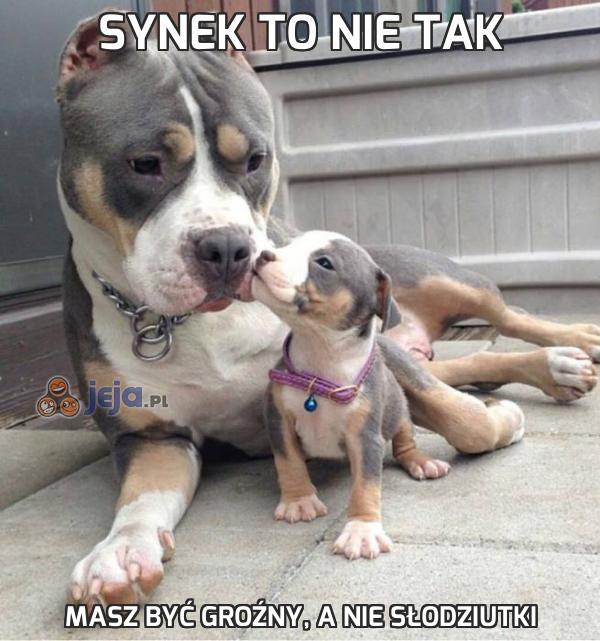 Synek to nie tak