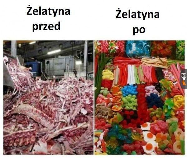 Galaretka przed i po