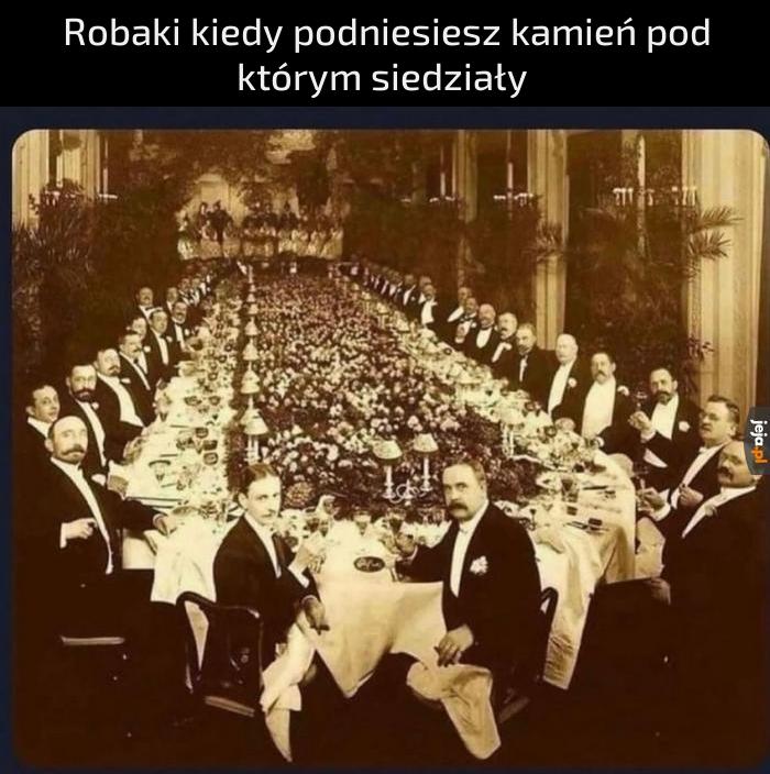 Przeszkodziłeś im