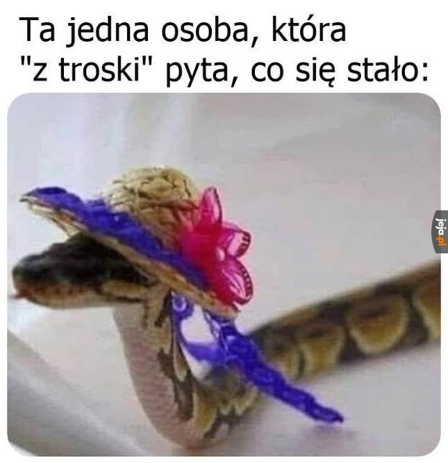 Zawsze chętna do pomocy