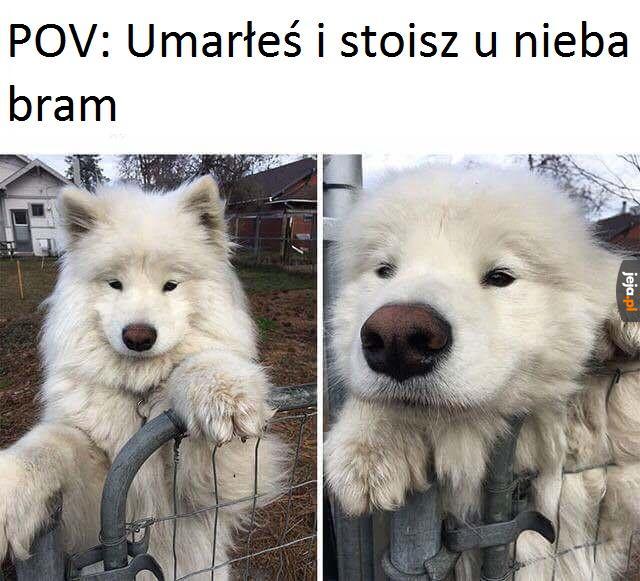 A to twój przewodnik po niebie