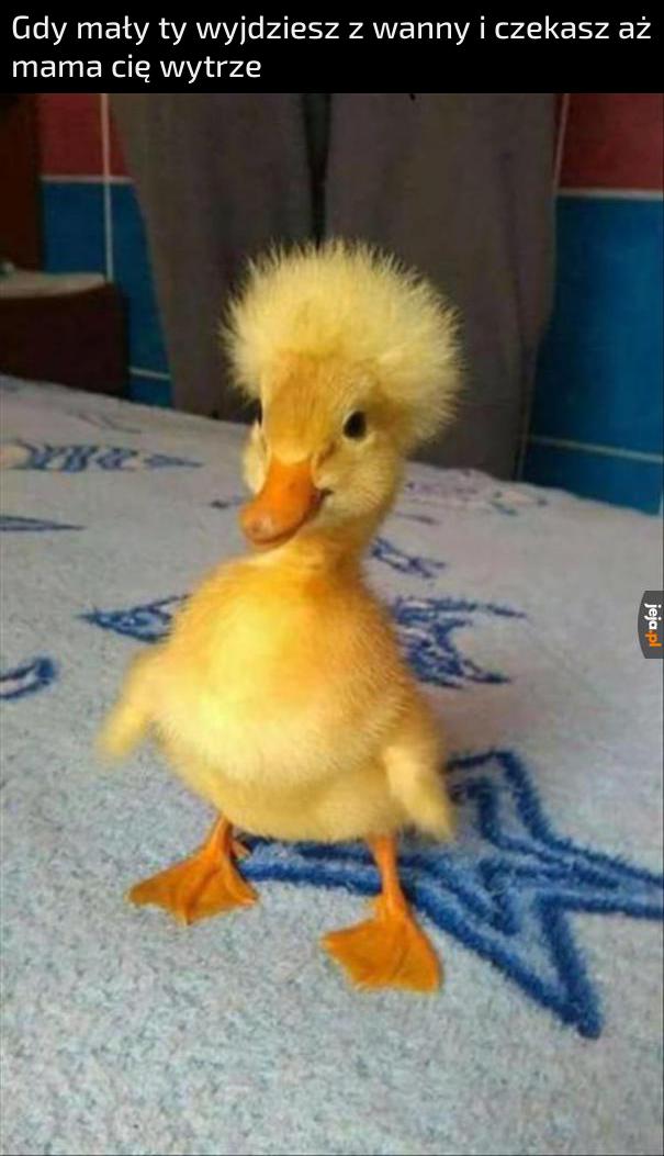 Lvl 7