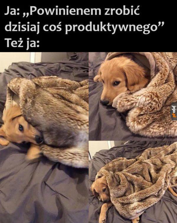 Może jednak nie dziś