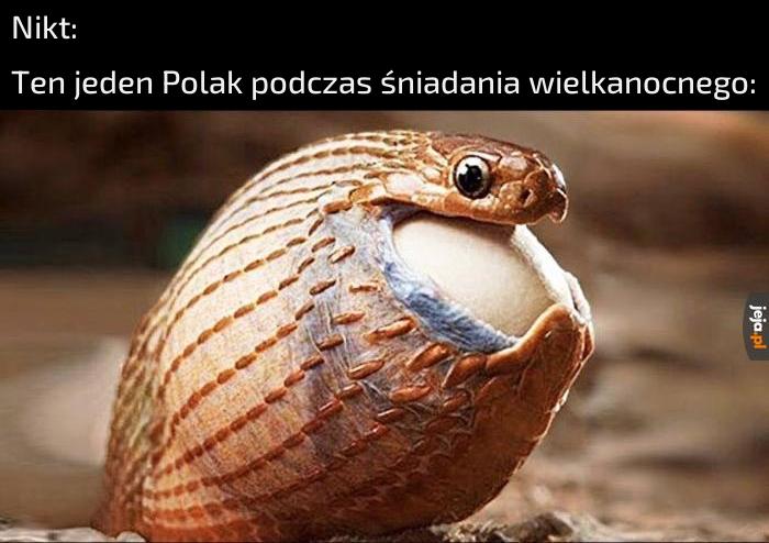 Jak pieróg to i jajko