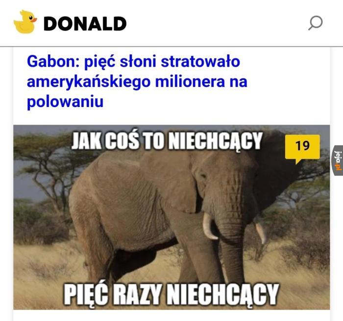 Na wszelki wypadek jeszcze raz niechcący nadepnę