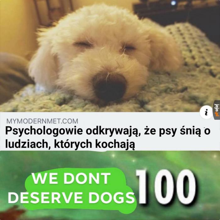 Nie zasługujemy na psy