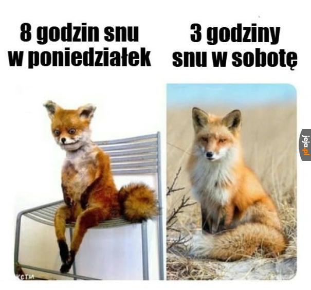Czemu to tak działa