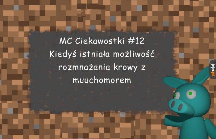 Minecraftowe Ciekawostki #12