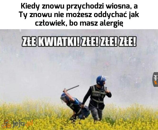 Alergicy, łączmy się!