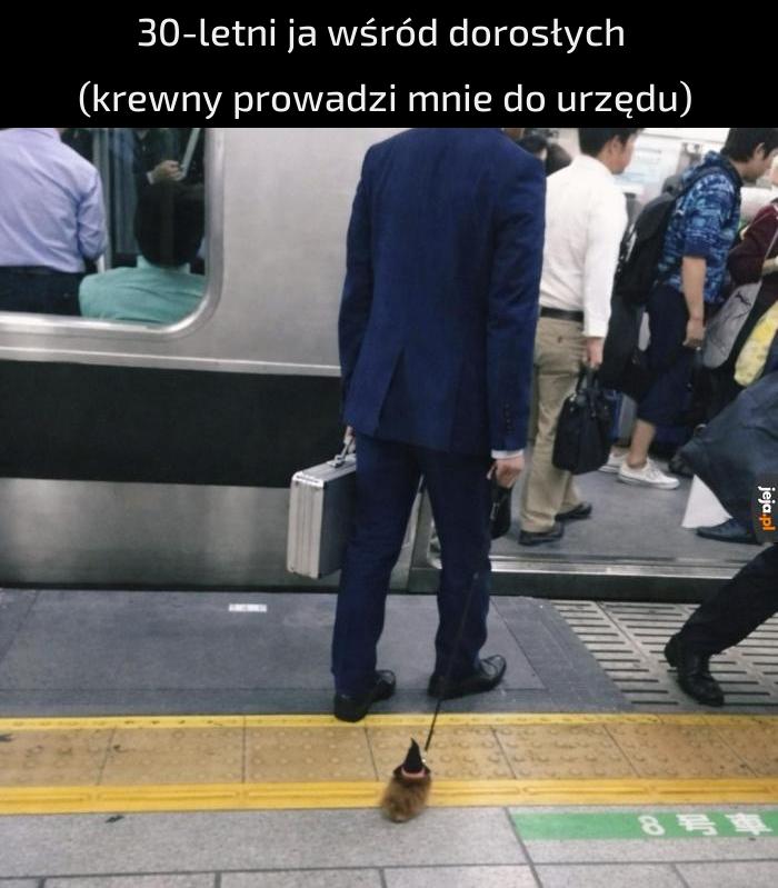 Przynajmniej mam fajna czapkę