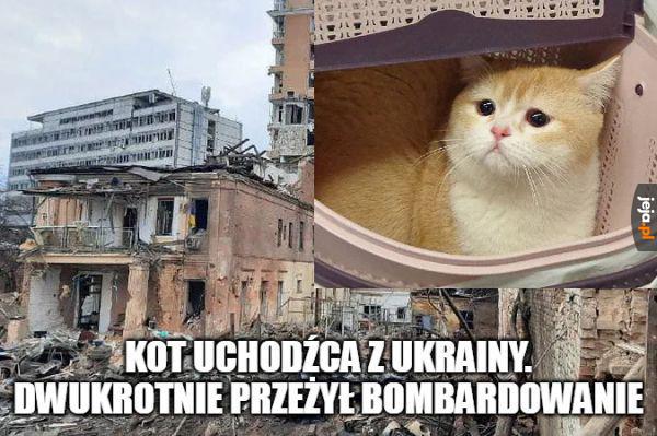 Przyda się ukraińskiej propagandzie taki bohater