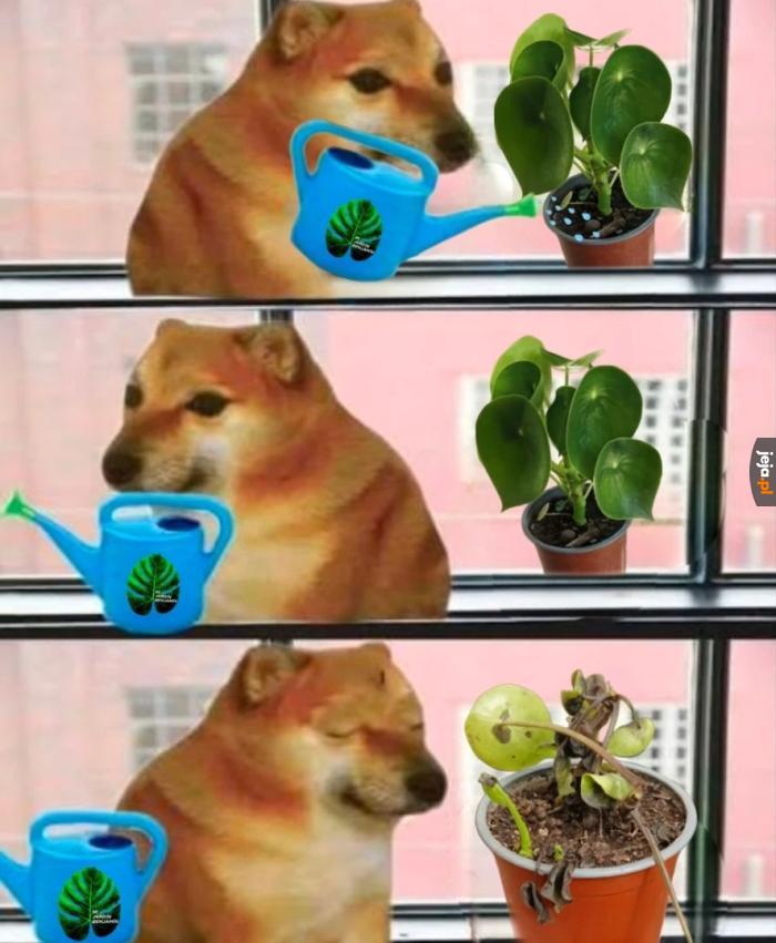 To po prostu nie dla mnie