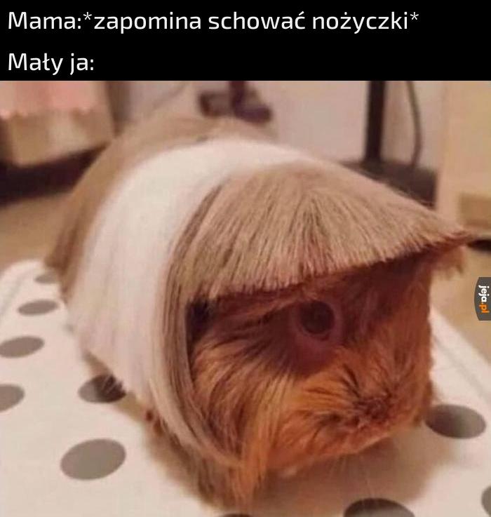 W planach wyglądało to lepiej...