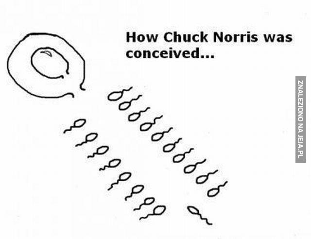Jak został poczęty Chuck Norris