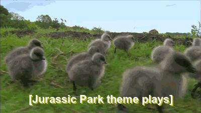 Jurassic Park w słodszej wersji