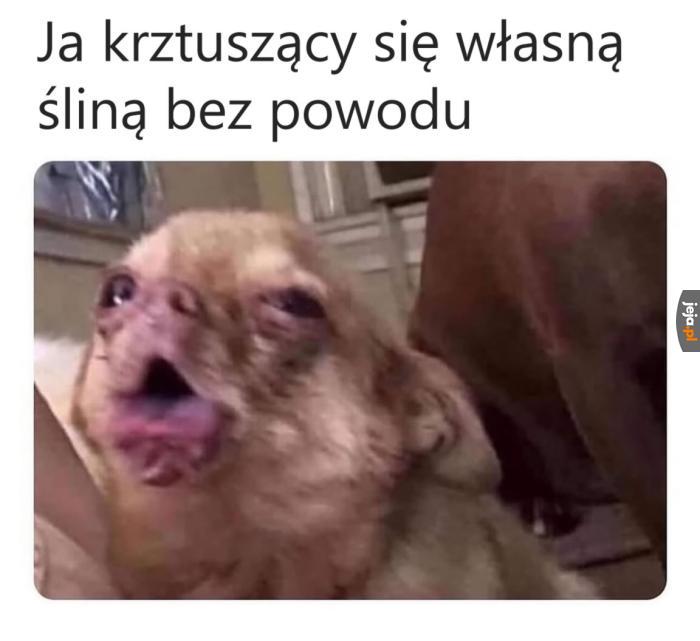 Wnuków to ja raczej nie doczekam