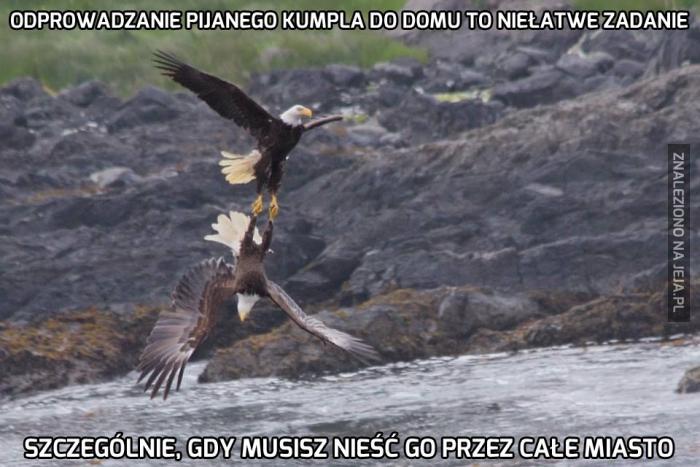 Odprowadzanie pijanego kumpla do domu to niełatwe zadanie