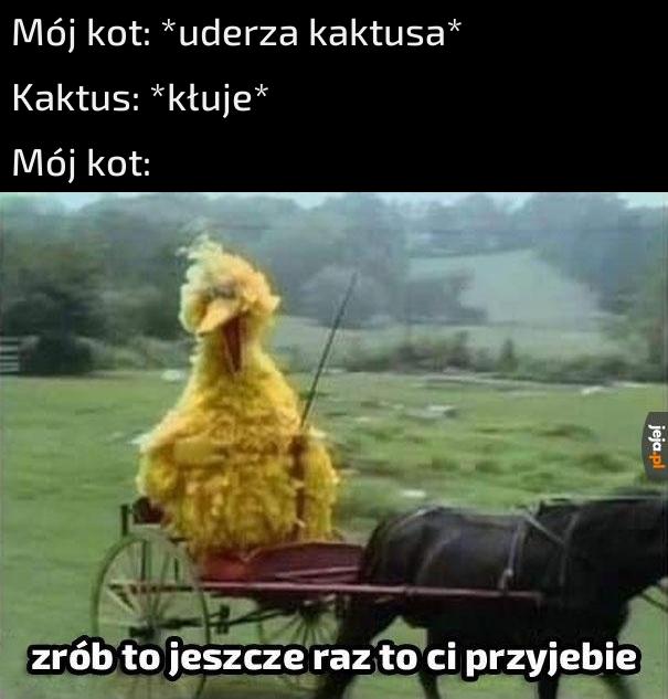Autentyczna sytuacja