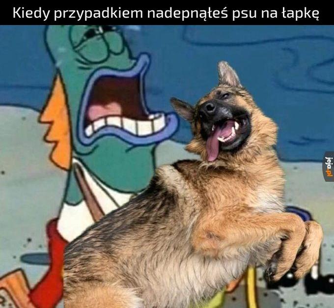 Przepraszam