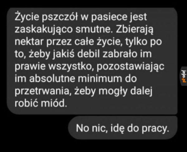 Swoje trzeba zrobić *ubiera buty klauna*