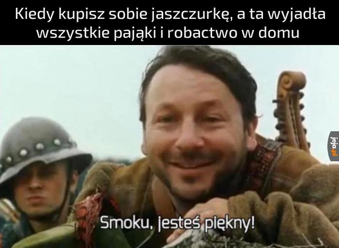 Mój ulubiony gad