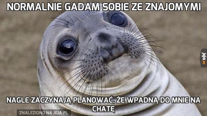 Normalnie gadam sobie ze znajomymi