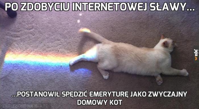 Po zdobyciu internetowej sławy...