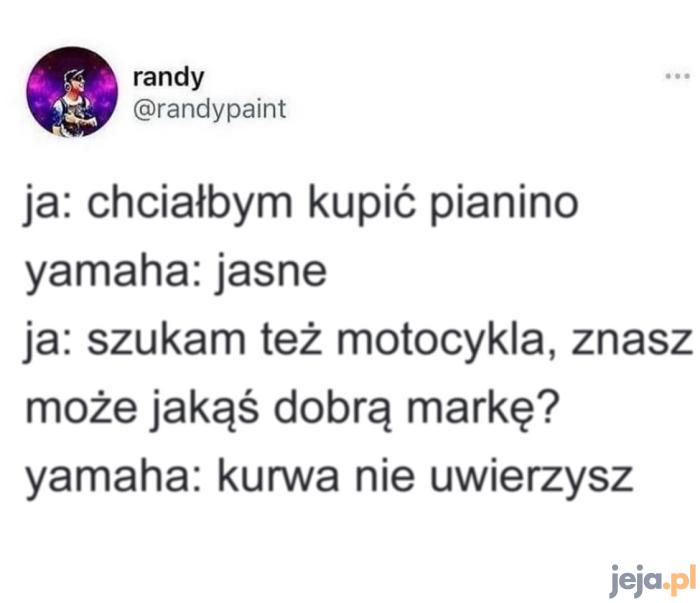 To się nazywa dywersyfikacja działalności