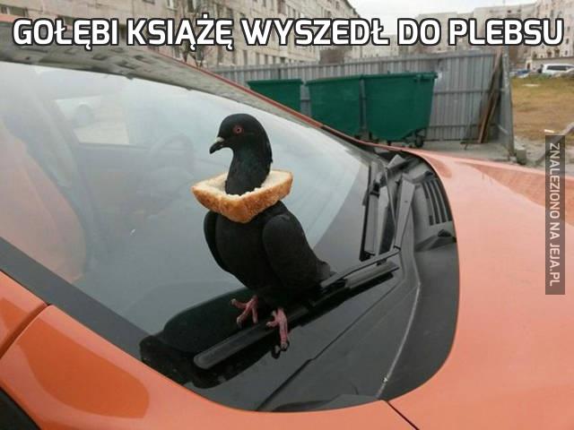 Gołębi książę wyszedł do plebsu