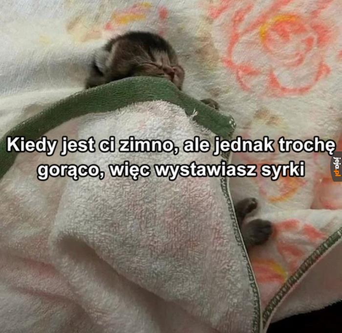 Potwory spod łóżka tylko na to czekają