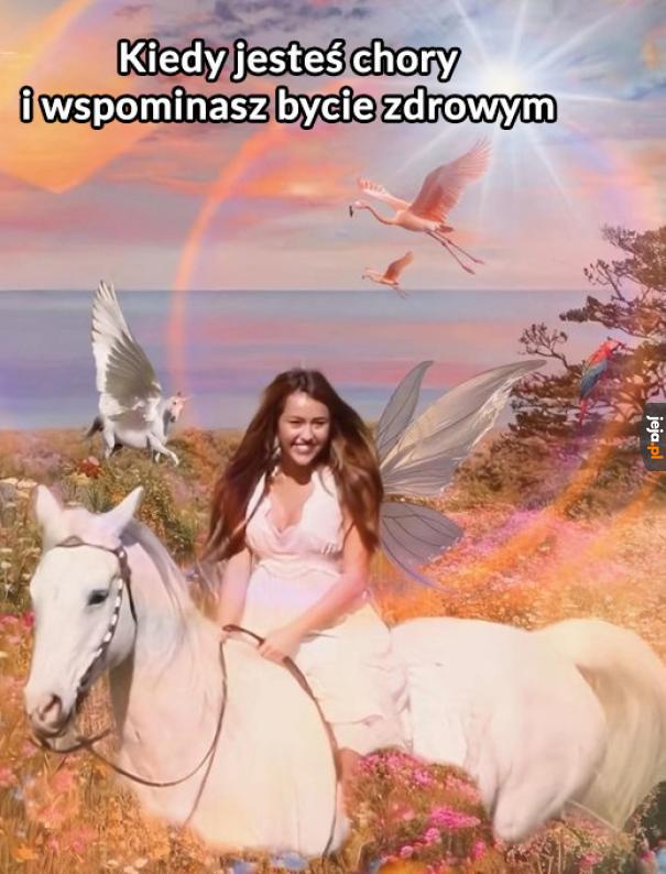 Niezapchany nos jest underrated