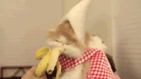No, jedz bananka