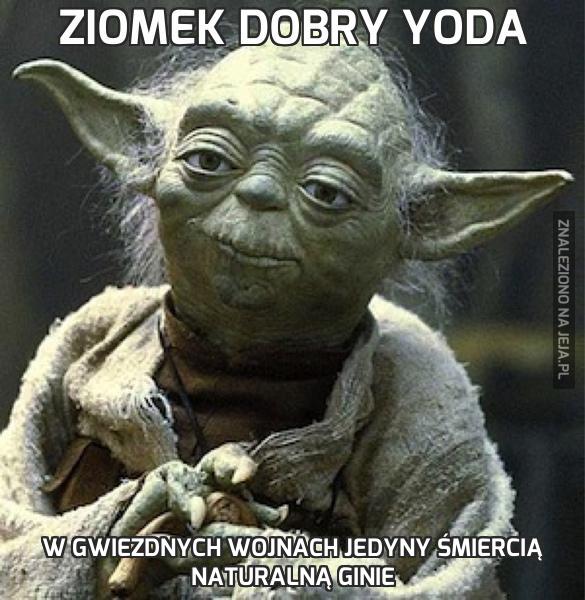 Ziomek dobry Yoda