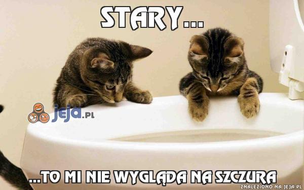 Stary...