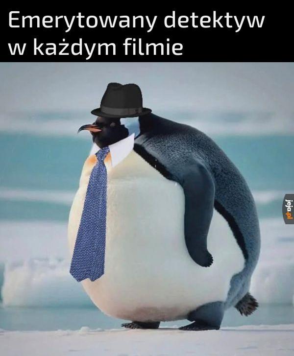 Tylko ty możesz rozwiązać tę sprawę Bob
