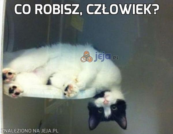 Co robisz, człowiek?