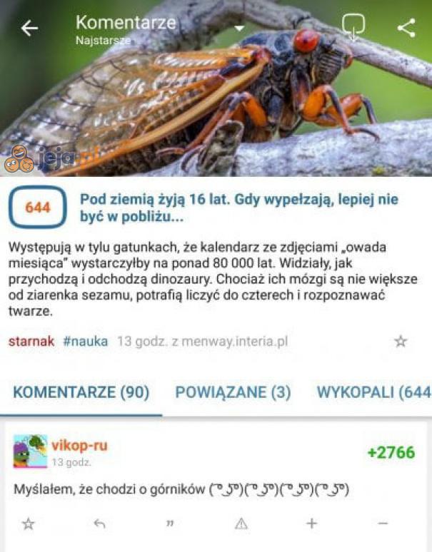 Wiedziałeś o istnieniu tych zwierzaczków?